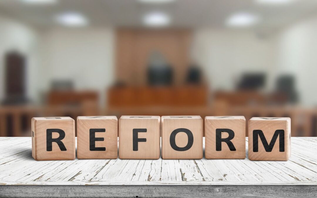 Rebled Bellvehi Advocats 2025